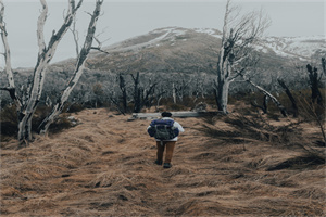《湘月·壬申夏泛舟西湖述怀有赋时予别杭州盖十年矣》龚自珍 《湘月·壬申夏泛舟西湖述怀有赋时予别杭州盖十年矣》龚自珍