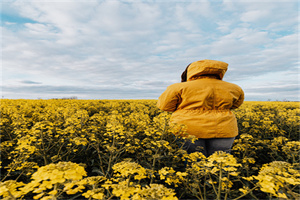 事业单位副高级职称比例是多少 事业单位副高级职称比例是多少