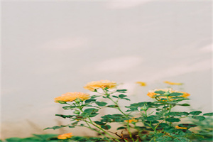 《【双调】庆东原_泊罗阳驿砧》赵善庆 《【双调】庆东原_泊罗阳驿砧》赵善庆