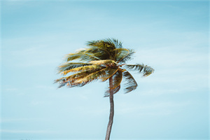 《晏子谏杀烛邹》刘向编 《晏子谏杀烛邹》刘向编