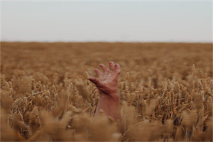 《蝶恋花·和漱玉词》王士祯 《蝶恋花·和漱玉词》王士祯
