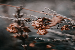 《【双调】折桂令_席上偶谈蜀》虞集 《【双调】折桂令_席上偶谈蜀》虞集