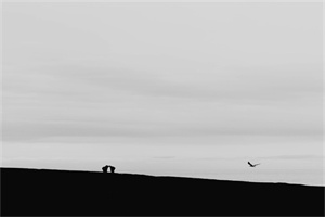 《渔歌子》张志和 《渔歌子》张志和